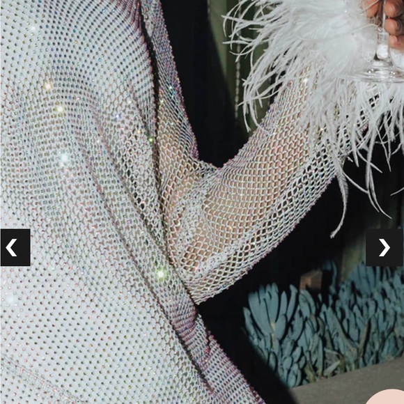 Untamed Petals Disco Sheer Dress - Picture 2 of 6